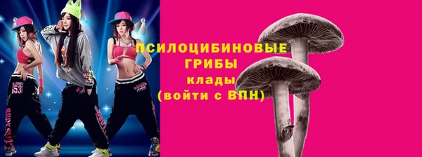 скорость Алексин