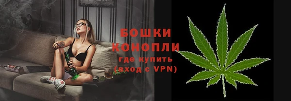 ПСИЛОЦИБИНОВЫЕ ГРИБЫ Горнозаводск